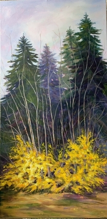 Forsythia At It’s Best