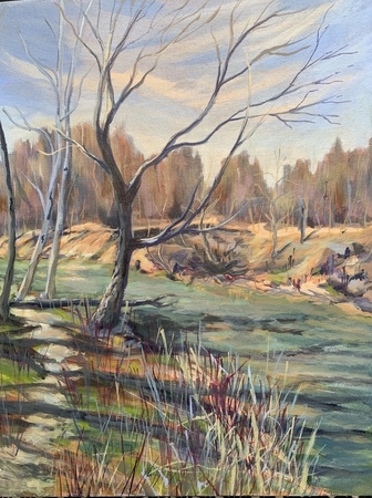 Spring Run Off