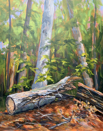 Timber #2