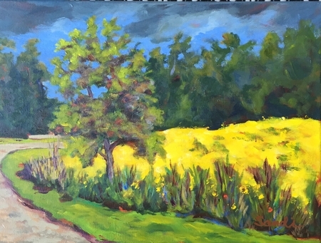 Field of Gold