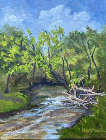 Storm’s Effect At Dingman Creek