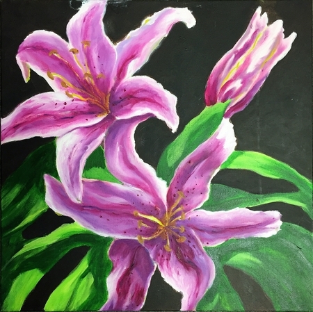 Pink Lillies