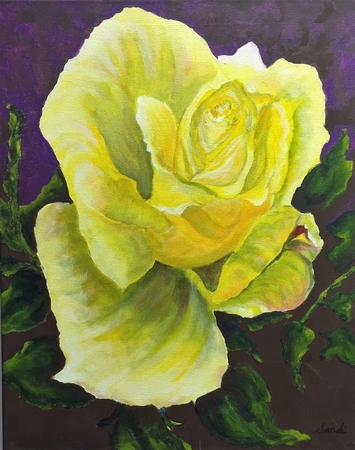 Yellow Rose